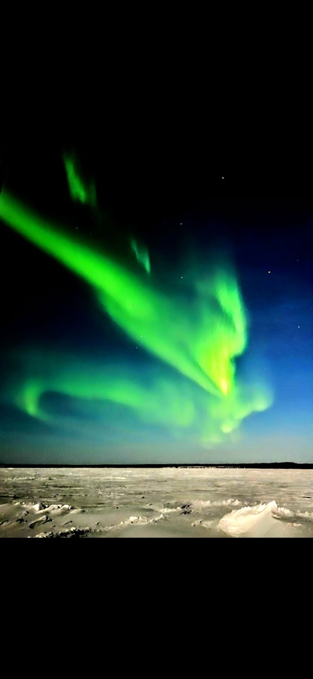 TheCandianHunter photo