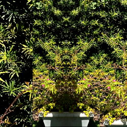 Yana VIP 🍓 🍓 photo