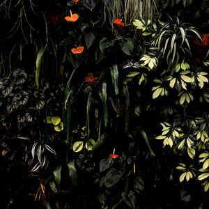 MichaelVnthony photo