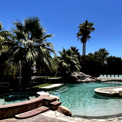 Luxurious Palm Tree Pool