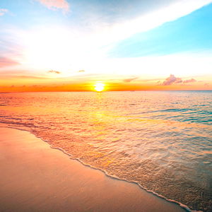 Annabelle Davies photo