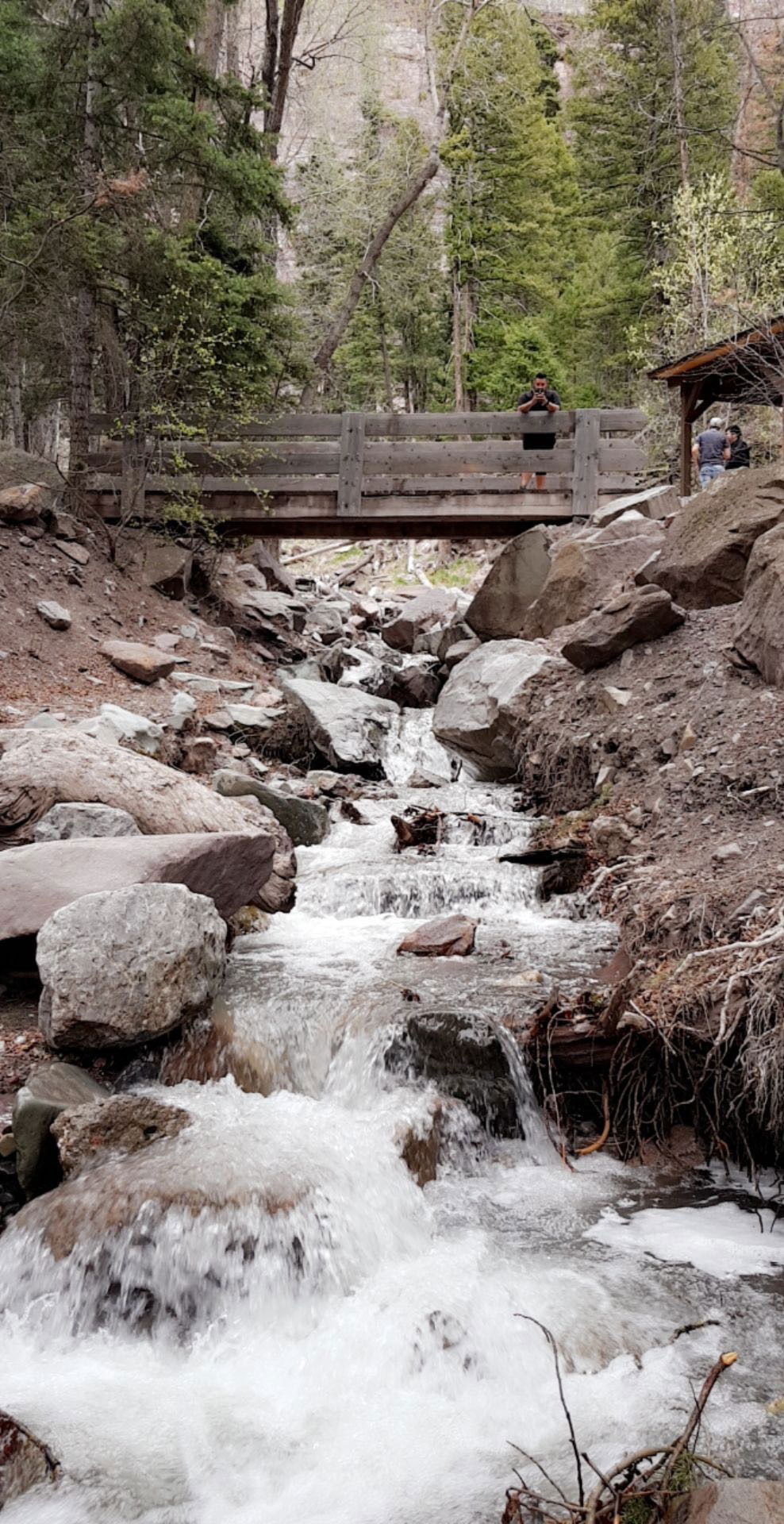 Babygirldes 😈 photo