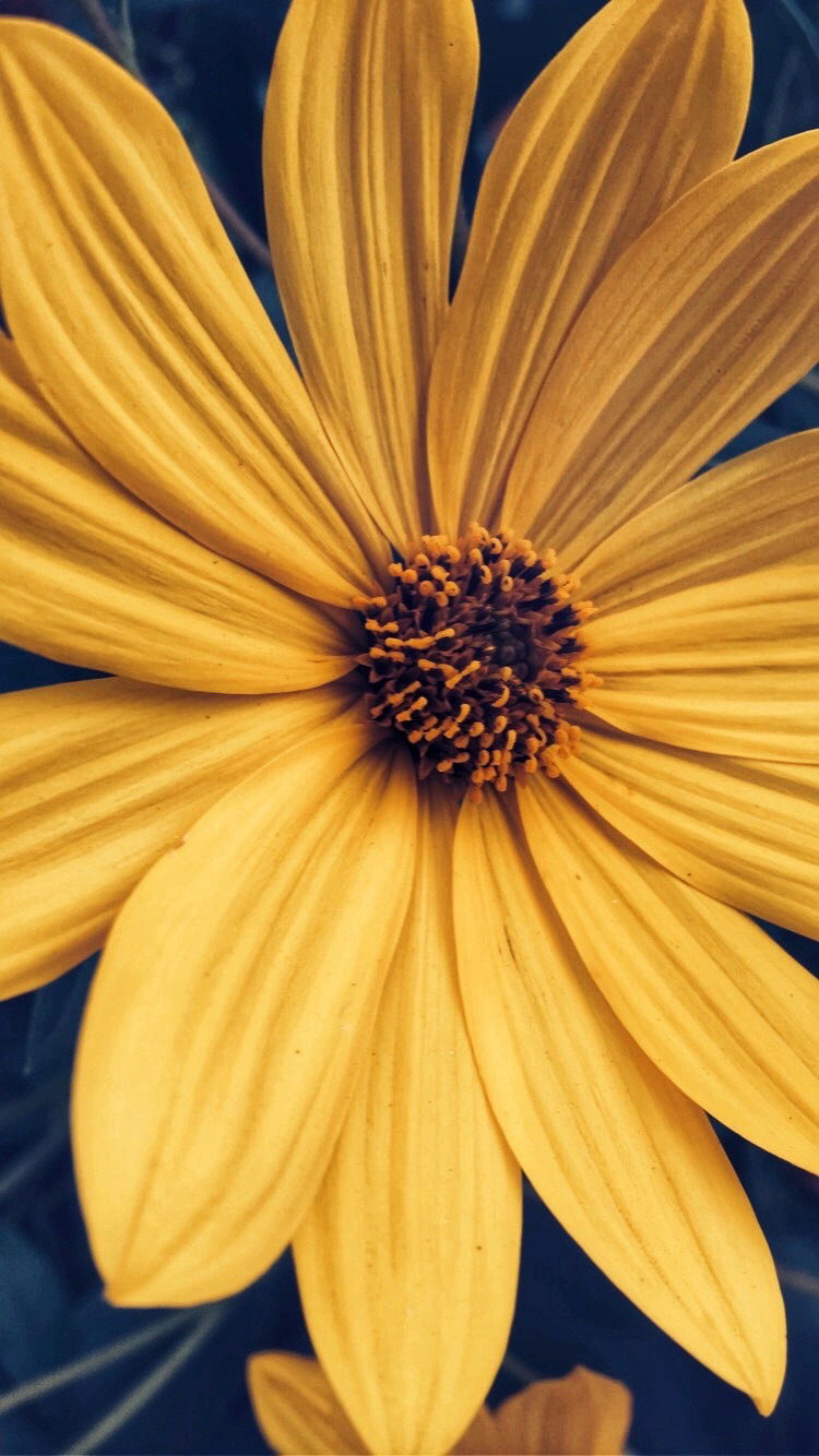 Littlelady1991 photo