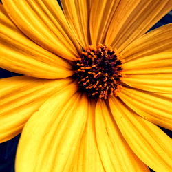 Littlelady1991 photo