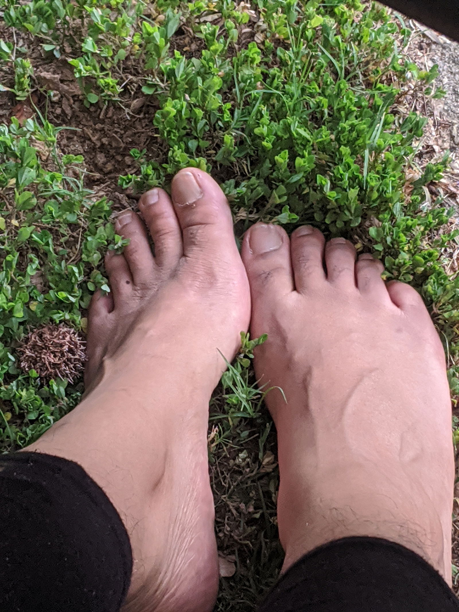 Sweet Nothings Toes photo