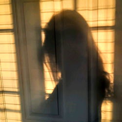 Athena Graves Free photo