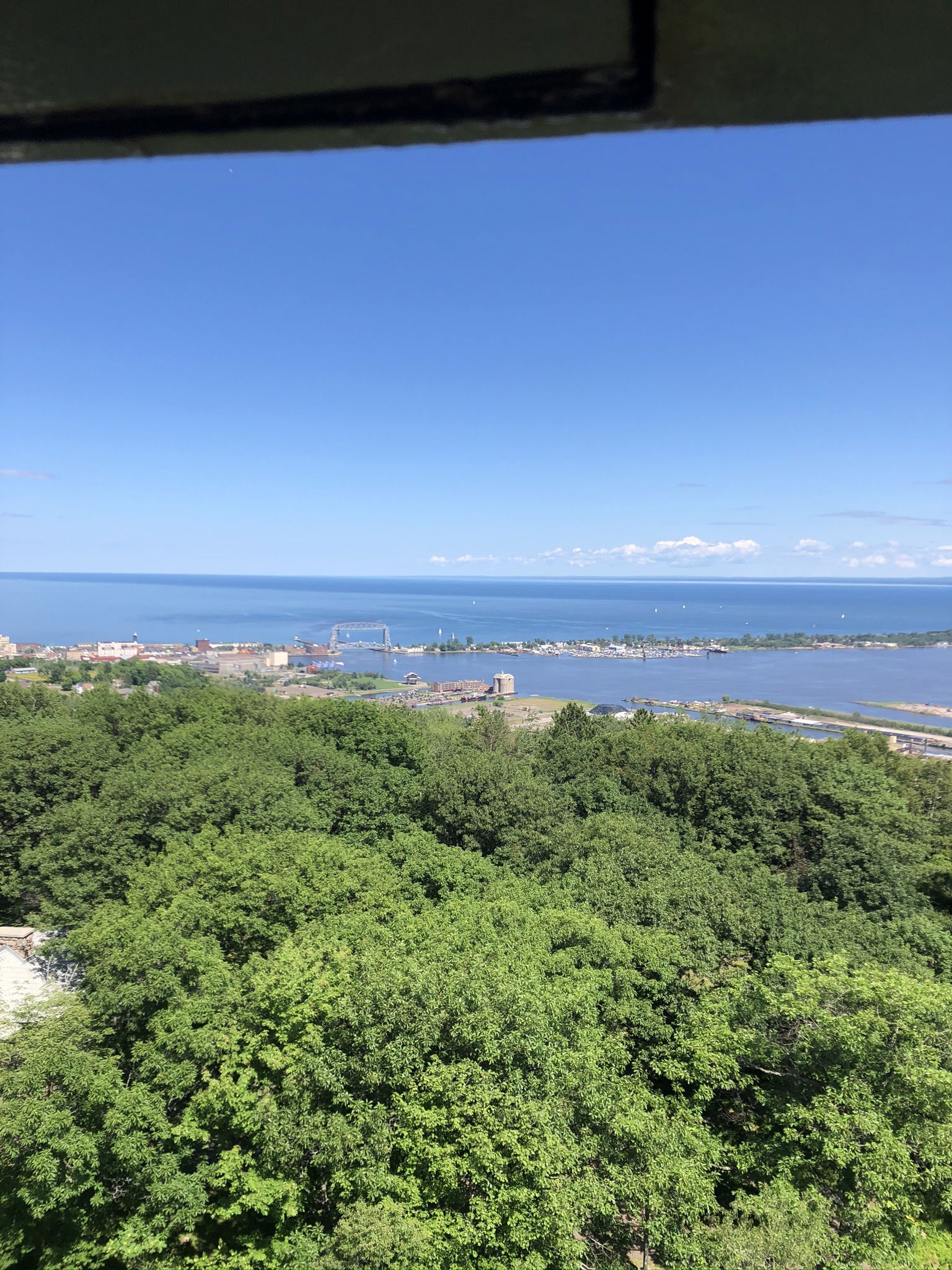 Austin jackson photo