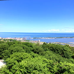 Austin jackson photo