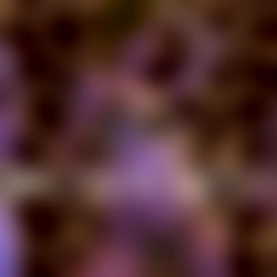 โ๏ธ ๐๐๐๐๐ฅ๐จ๐ง๐๐ข๐ ๐
๐
ฒ ๐ถ๏ธ photo