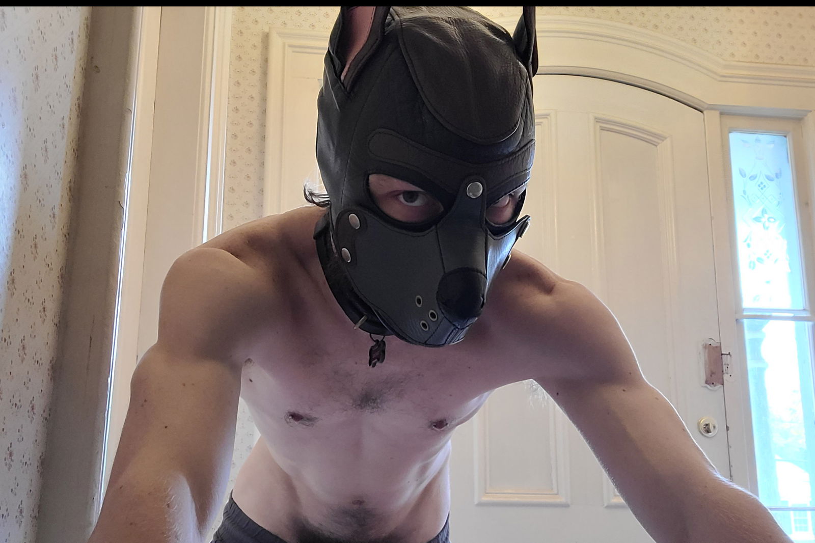 Rocket the Smut-Mutt photo