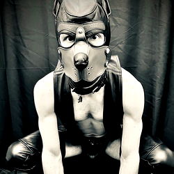 Rocket the Smut-Mutt in BDSM Leather Gear