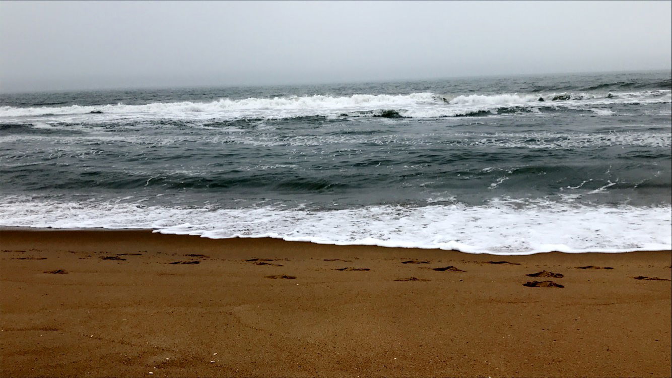 _drifting _dreamer photo