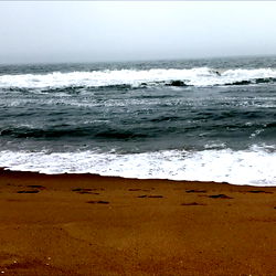 _drifting _dreamer photo