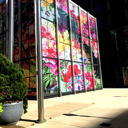 Goodpussy queen photo