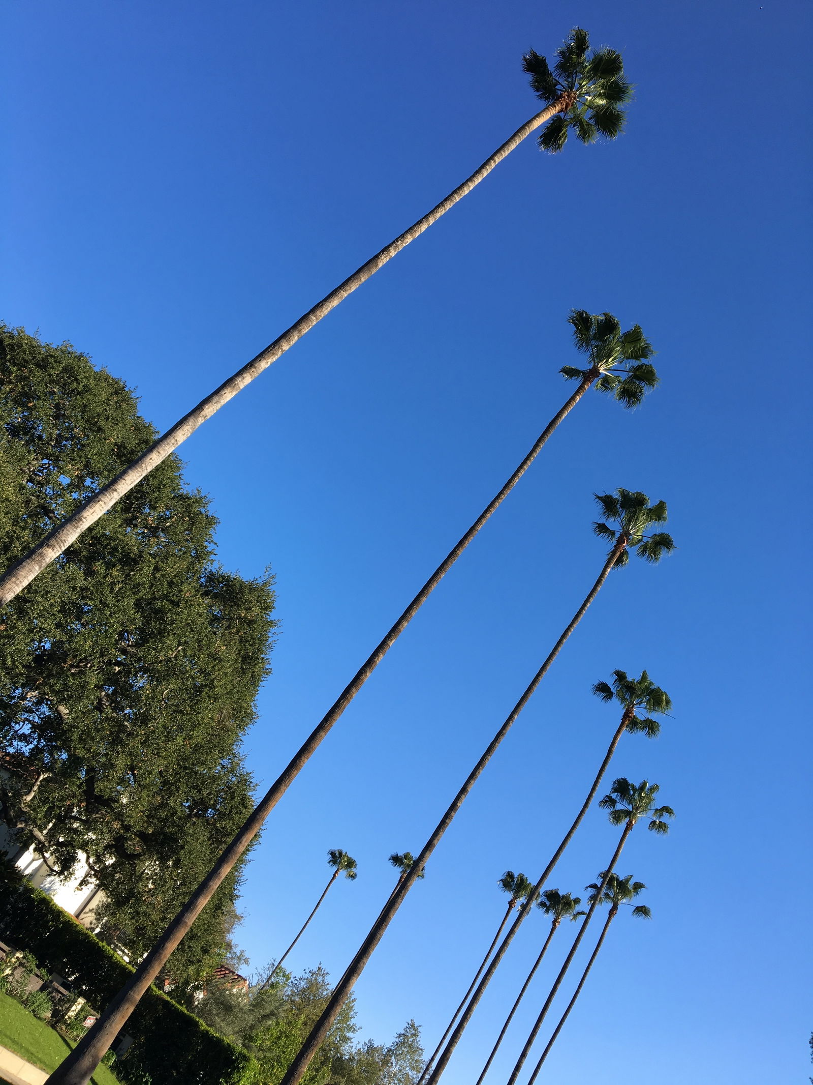 Aaliyah Love FREE page photo