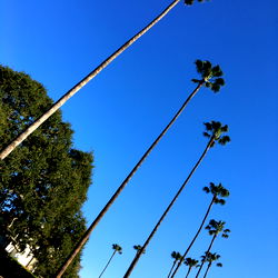 Aaliyah Love FREE page photo