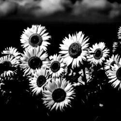 Four20Hunny😘😉🔥 photo