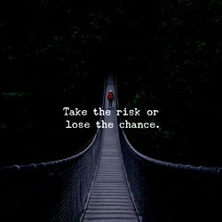 Take the Risk or Lose the Chance
