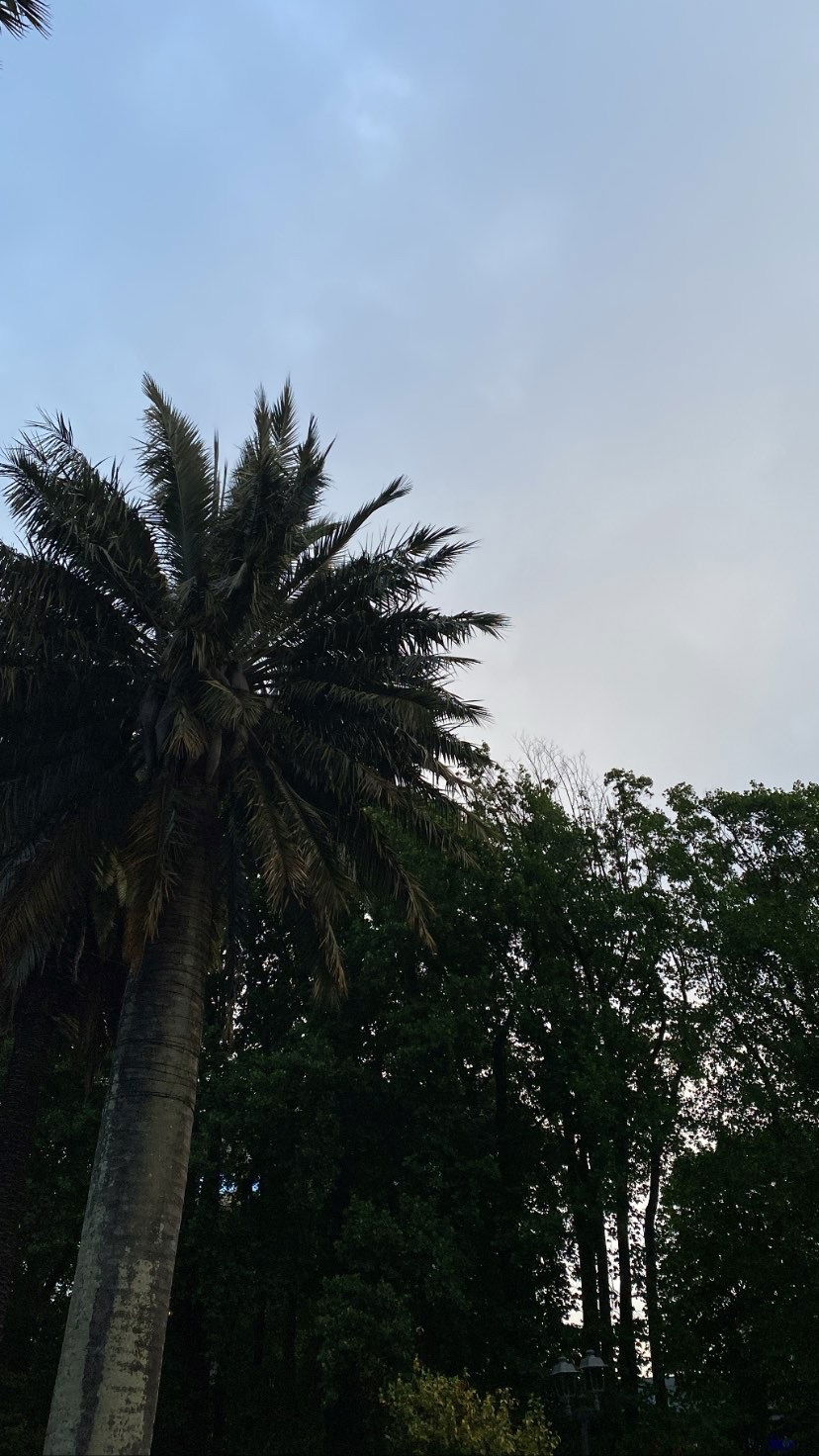 baby angel 🤍 photo