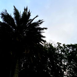 baby angel ๐ค photo