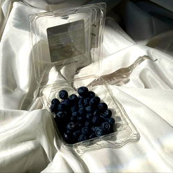 Kaรญra Voss photo