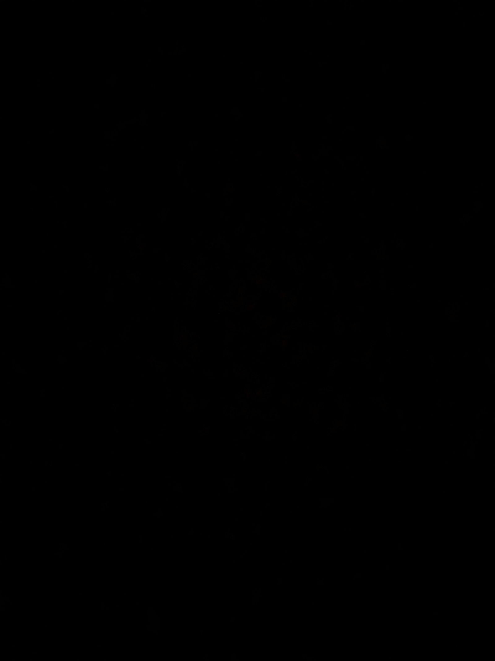 Millie De Morney photo