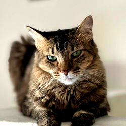 Sebastian Quesada photo