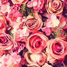 Vibrant Bouquet of Roses