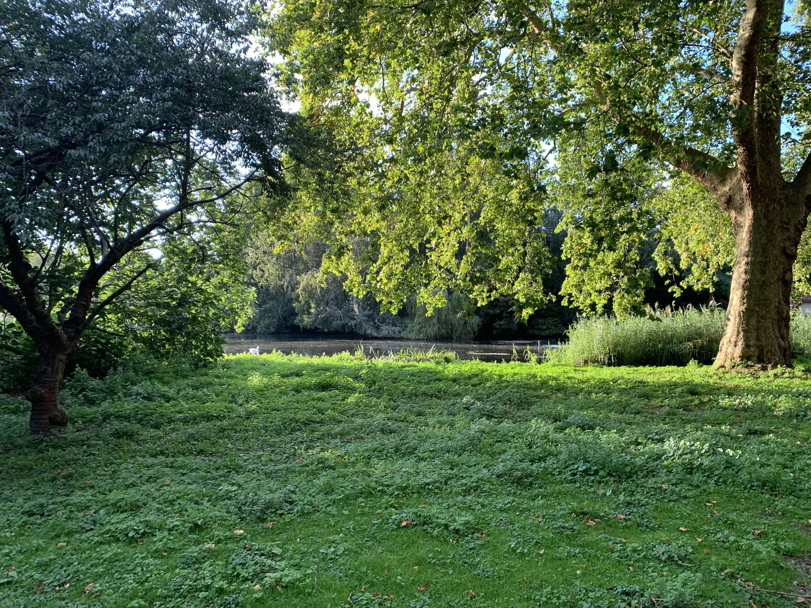 Griffin Barrows photo