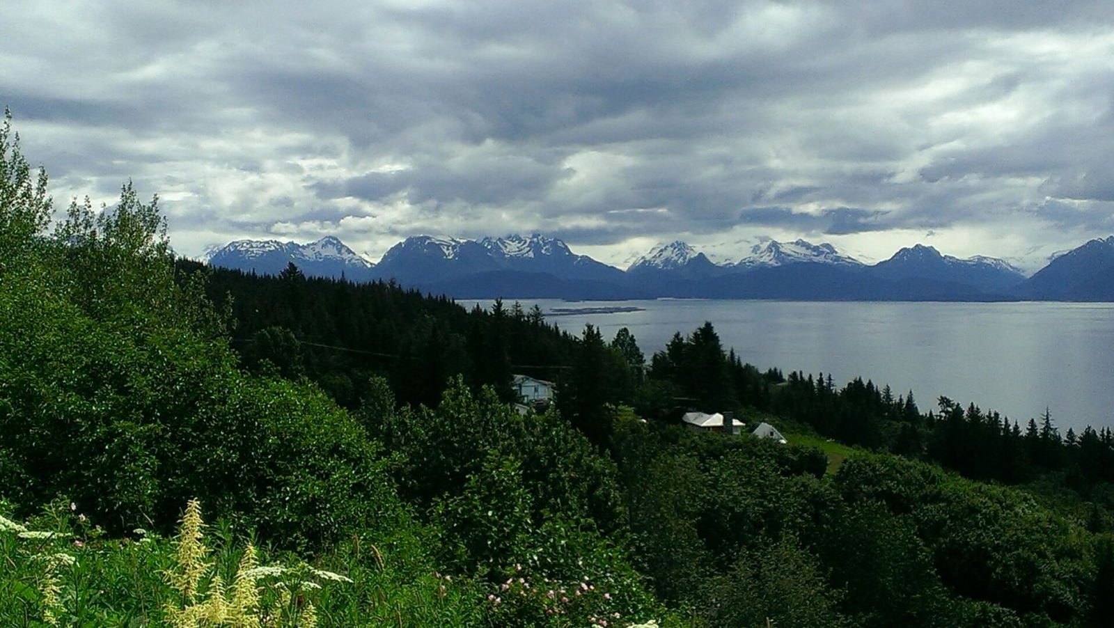 Anorthernmale33 photo