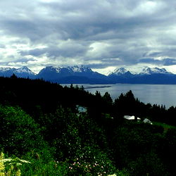 Anorthernmale33 photo