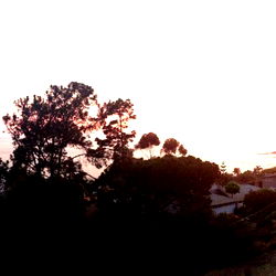 Stunning Sunset Views in CA from OnlyFans Sinfullyeuropean