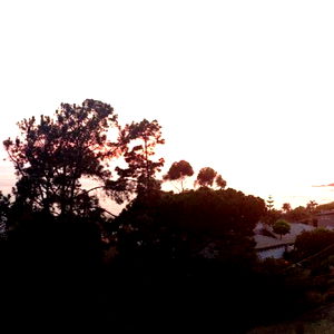 sinfullyeuropean photo