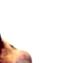 Awad, a Model from OnlyFans