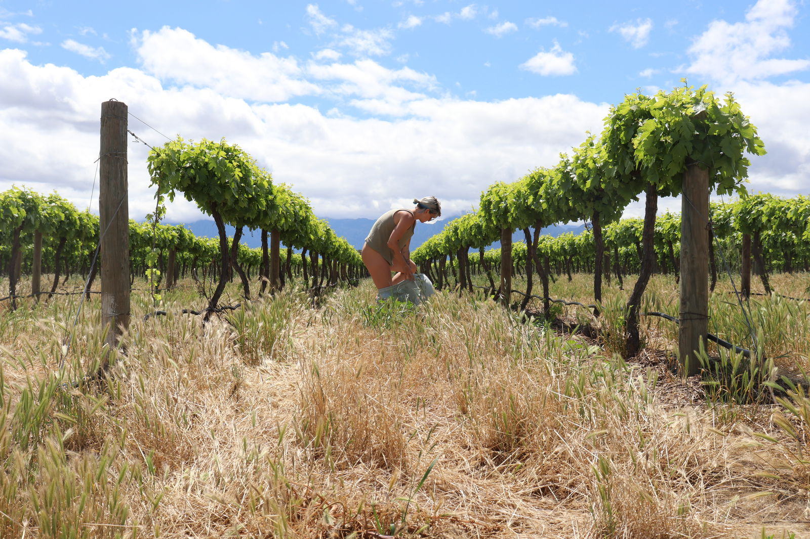 Alex &amp; Sam photo