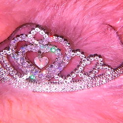 Underworld Model Z in Pink Purse with Tiara