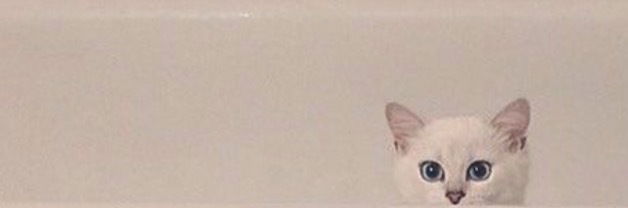 ✩ 𝐁𝐀𝐘𝐋𝐄𝐄 ✩ photo