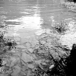 RealDarkestate, From Kentucky: A Photographer's Perspective