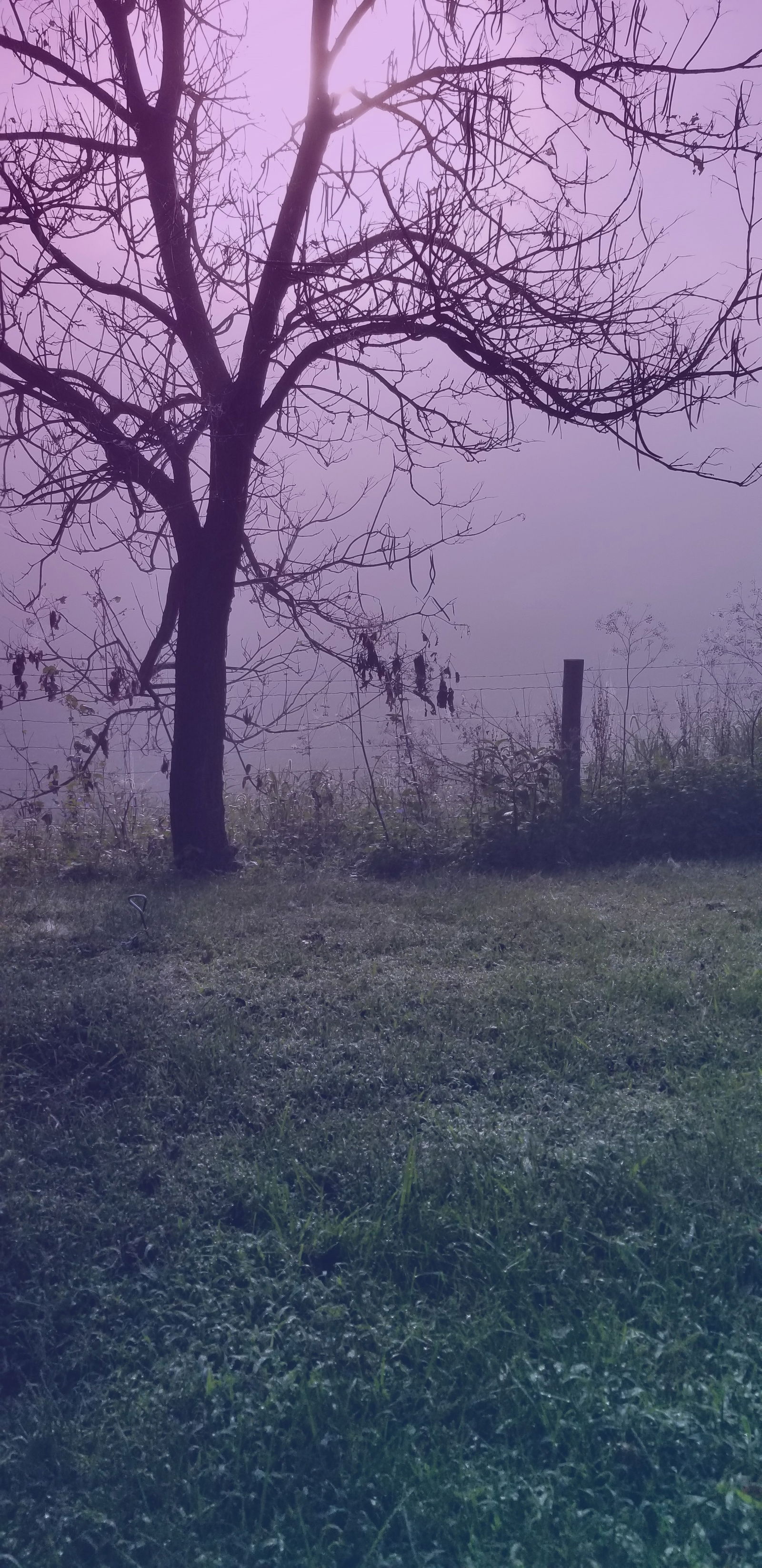 realDarkestate photo