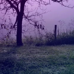 realDarkestate photo