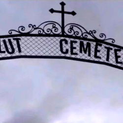 Ｌｉｚａｒｄ 🦎 photo