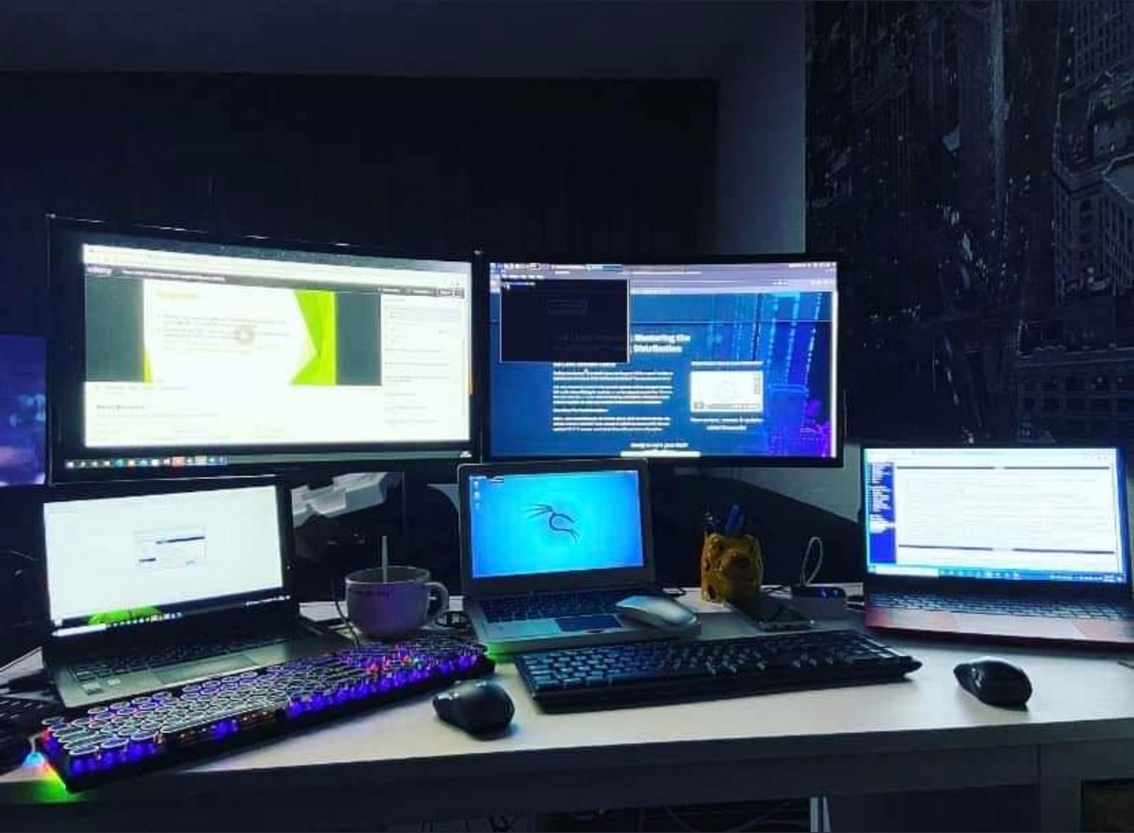 Elsa (rootlinux) photo