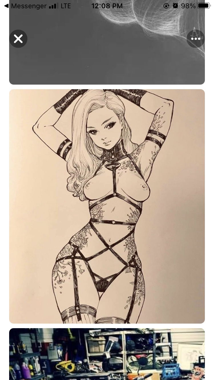 Elusive.Kitten photo