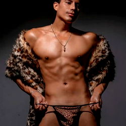 Exotic Model in Cheetah Print Pose