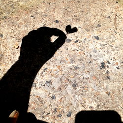 Hand Casting a Heart-shaped Shadow on the Ground