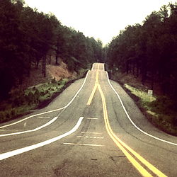 Anonymoose on a Desert Road Trip