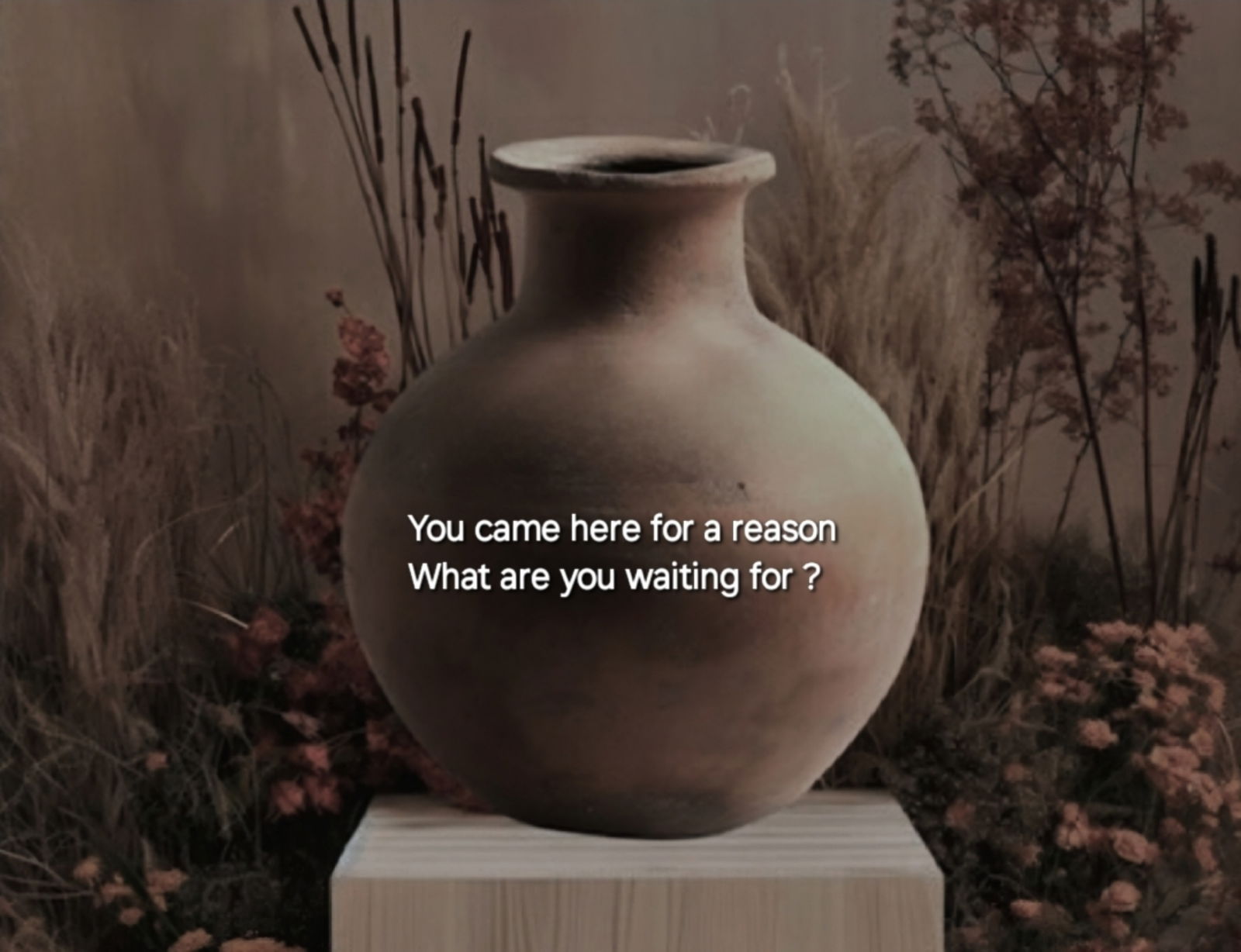 ⚜️Semantha⚜️ photo