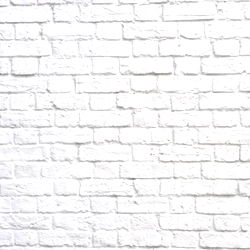 Chic Model Amalie Against a White Wall with Brick Accent