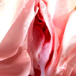 Alexandra M’G photo