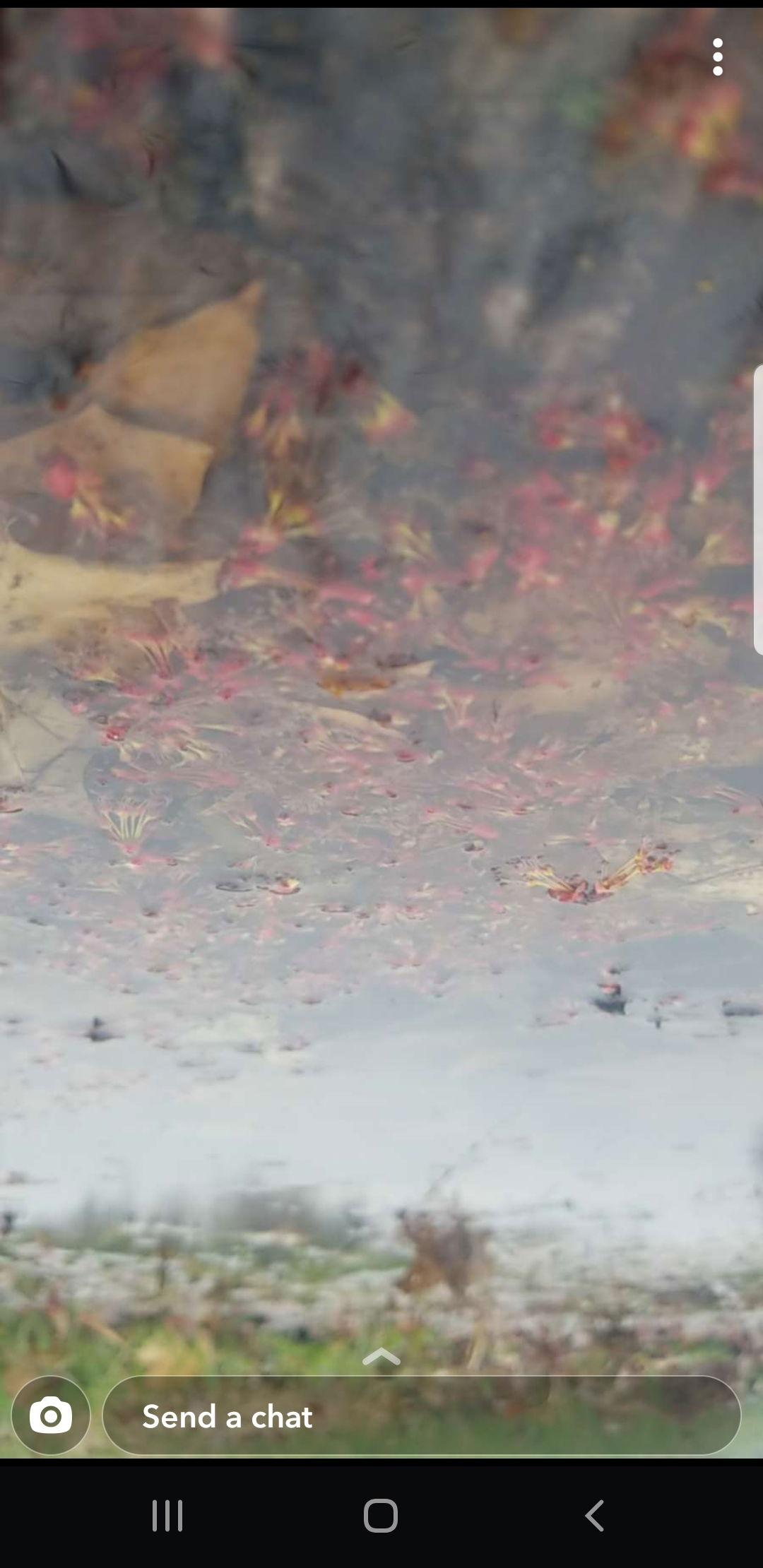 ×iwannaknowyerbiggestfantasty× photo